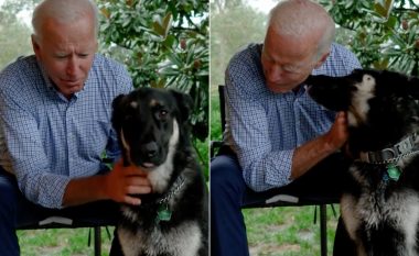 Edhe qeni i Joe Biden bën historinë si qeni i parë i shpëtimit në Shtëpinë e Bardhë
