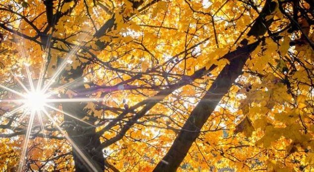 Weather tomorrow in Macedonia Daily News