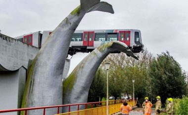 Treni u shpëtua nga katastrofa nga një ‘balenë gjigante’ pasi u përplas në fund të shinave