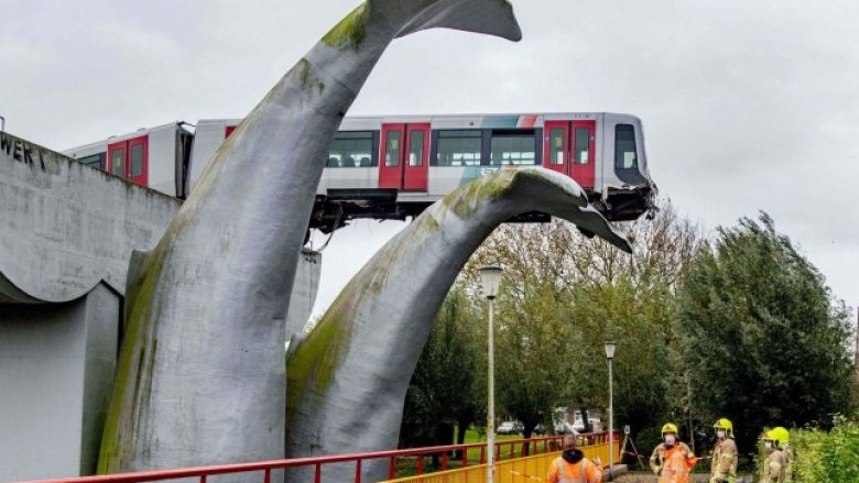Treni u shpëtua nga katastrofa nga një ‘balenë gjigante’ pasi u përplas në fund të shinave