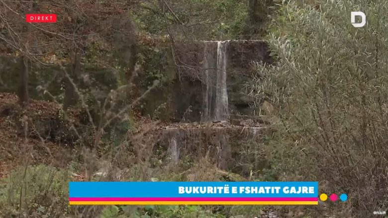 Bukuritë e fshatit Gajre