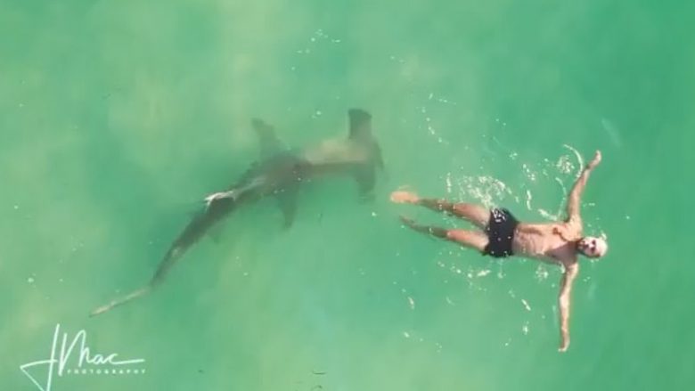Ai po notonte pa e vërejtur fare, derisa peshkaqeni sillej rreth tij – pamje me dron nga ujërat e Miamit