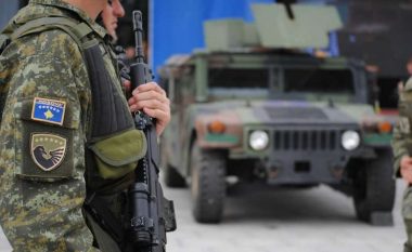 Ibishi: Ndërkombëtarët po heshtin ndaj kërcënimeve të Serbisë, ushtria e Kosovës duhet të armatoset