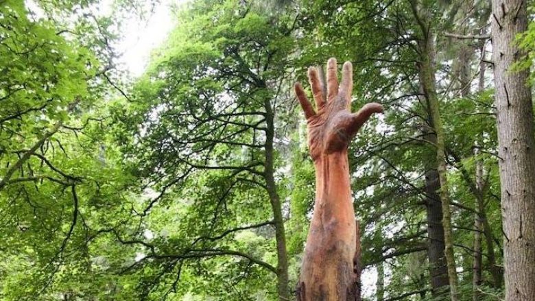 Artisti transformon pemën e dëmtuar në një dorë të drejtuar nga qielli
