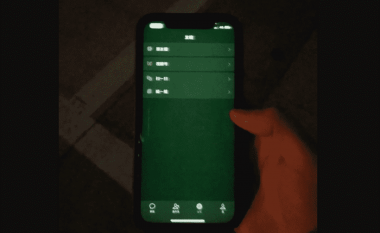 iPhone 12 shfaq dridhje të lehta dhe ekrani merr një ngjyrë të gjelbër