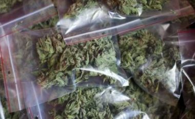 Arrestohen dy persona në Pejë, policia gjeti marihuanë në shtëpinë e tyre