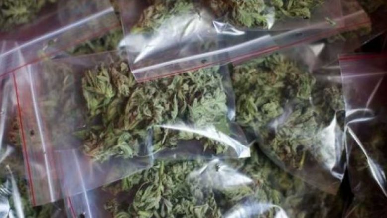 Arrestohen dy persona në Pejë, policia gjeti marihuanë në shtëpinë e tyre