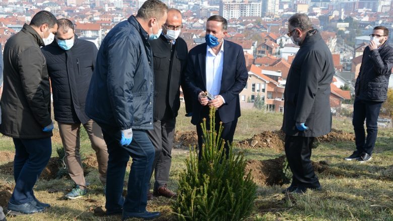 Bëhet mbjellja e 1,000 fidanëve në Gjilan