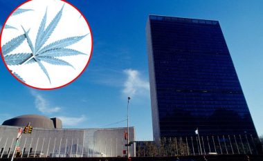 Më nuk është ilegale, Kombet e Bashkuara largojnë kanabisin medicinal nga lista e drogave të rrezikshme