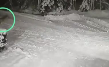 Po luante me kushërinjtë fshehtas në borë, 10-vjeçari nga Rusia sulmohet nga ujku – e shpëton qeni që e jep jetën për të