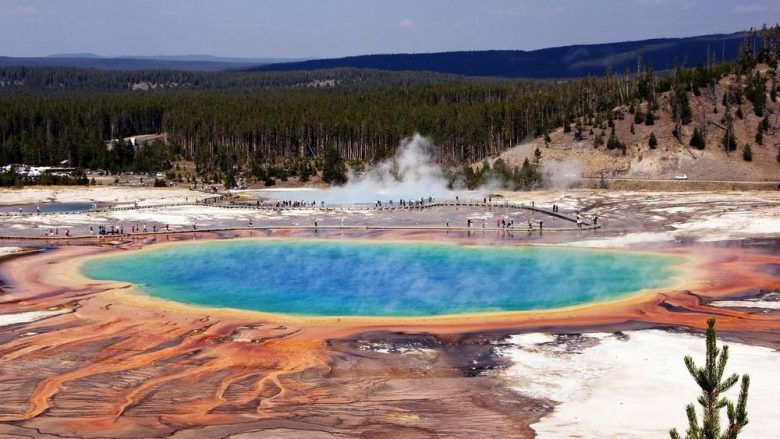 Eseja e profesorit amerikan ngrit çështjen e padiskutuar për parkun nacional Yellowstone