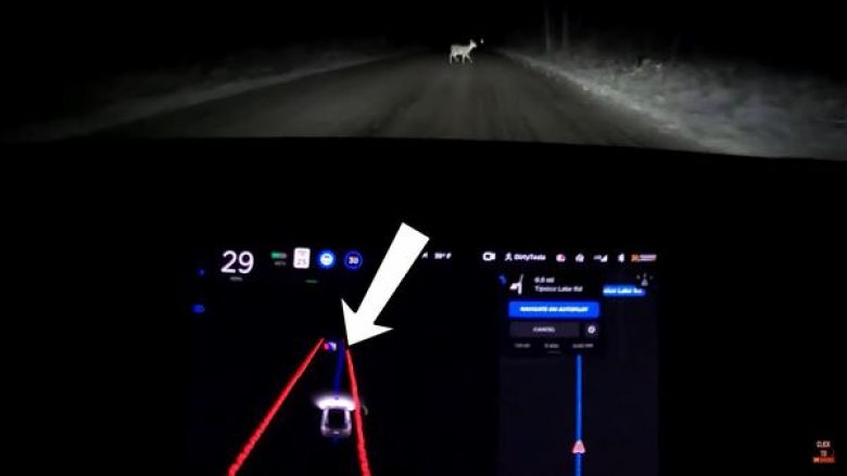 Video që tregon se si një Tesla që drejtohet vet i shmanget një dreri në rrugë