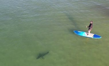 Droni kap peshkaqenin dy metra, që notonte vetëm disa metra larg peshkatarëve në ujërat e Australisë