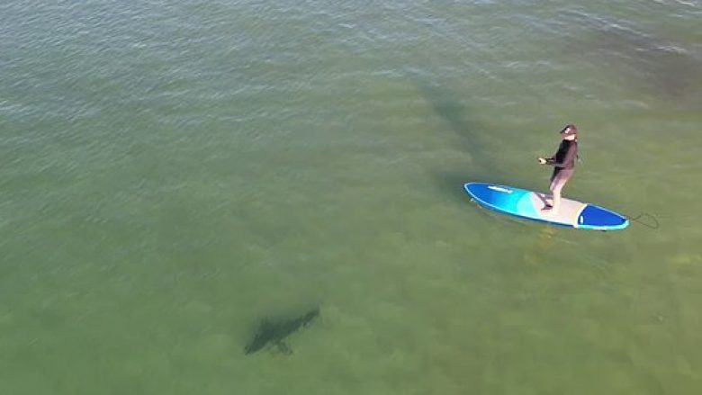 Droni kap peshkaqenin dy metra, që notonte vetëm disa metra larg peshkatarëve në ujërat e Australisë