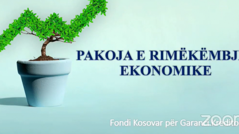 Lansohet Pakoja e Rimëkëmbjes Ekonomike nga Fondi Kosovar për Garanci Kreditore