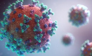 Më shumë se 71 milionë raste të regjistruara me coronavirus në botë