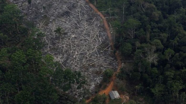 Amazona e Brazilit: Shpyllëzimi ‘rritet në nivelin më të lartë në 12 vitet e fundit’