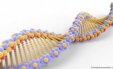 Coronavirusi: A depërtojnë grimca gjenetike të virusit në ADN-në e njeriut?