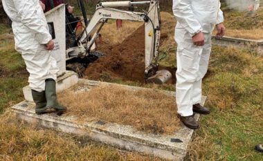 Me gjetjet e sotme mortore përfundojnë gërmimet për sivjet, në pranverë vazhdojnë në Serbi