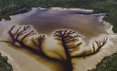 Fenomen natyror, në liqen formohet “pema e jetës” pasi goditet nga stuhia e madhe