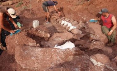 Fosilet e dinozaurëve të gjetur në Argjentinë mund t’i përkasin krijesës më të madhe në botë
