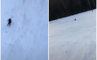 Skiatori rumun lëshohej shtegut duke mos ditur që pas i ishte vënë ariu, e hedh në tokë çantën – ky veprim ia shpëton jetën