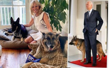 Rikthehen pas katër viteve, qentë e Joe Biden arrijnë në Shtëpinë e Bardhë