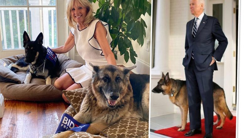 Rikthehen pas katër viteve, qentë e Joe Biden arrijnë në Shtëpinë e Bardhë
