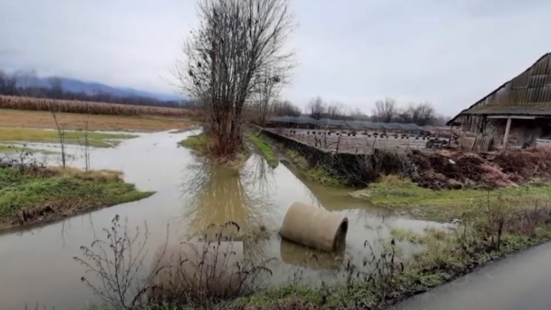 Shirat në Tetovë vërshojnë tokat bujqësore!