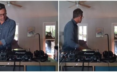 DJ po transmetonte live performancën e tij, para derës së shtëpisë i shfaqet ariu i zi
