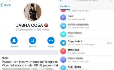 Pas një viti rikthehet “Dhoma Publike” në Telegram, shpërndahen fotografi eksplicite të vajzave nga Maqedonia