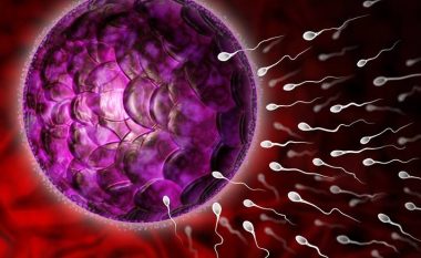 Ndryshimet e spermës tregojnë se a do të ketë fëmija autizëm