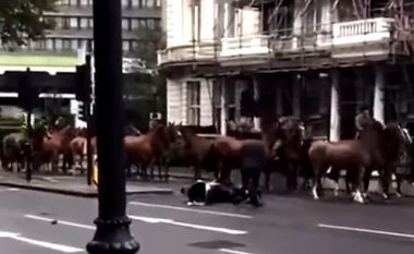 Deshi të “tejkalonte” kuajt në një rrugë të Londrës, momenti kur shoferi “goditet dhe fluturon” nga motoçikleta