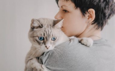 Tri mënyra të lehta për të qetësuar macen tuaj