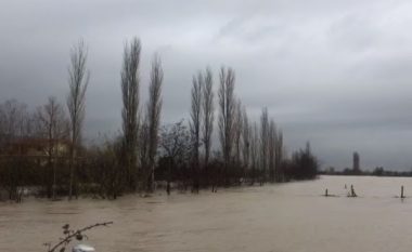​Përmbyten dhjetëra hektarë tokë në Lezhë e Shkodër