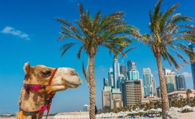 Vodhi devenë e shtrenjtë për t’ia bërë dhuratë të dashurës për ditëlindje, burri nga Dubai përfundon në pranga – e “tradhtojnë” deklaratat e veta