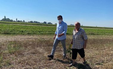 Mustafa: Për katër ditë janë paguar mbi 20 milionë euro subvencione për fermerët