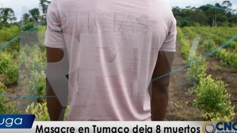 Lufta për kokainë, të paktën 11 të vdekur në përleshjen mes bandave kolumbiane – qeveria ofron shpërblim për kapjen e krerëve të grupeve