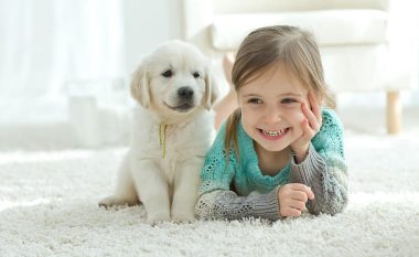 Pse duhet të kenë fëmijët një qen në shtëpi? Një arsye është veçanërisht e rëndësishme