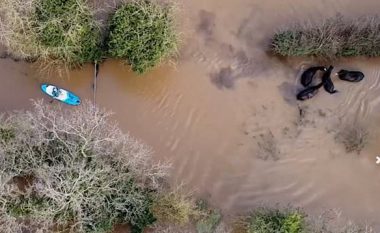 Një burrë me varkë shpëtoi disa kuaj në një livadh të përmbytur, e gjithë ngjarja u filmua nga një dron