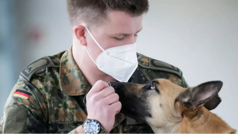 Një klinikë veterinare gjermane ka trajnuar qentë, për të zbuluar COVID-19 – saktësia deri në 94 për qind