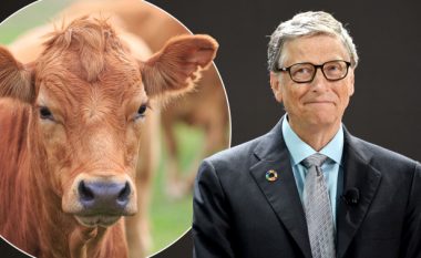 Bill Gates mendon se duhet të fillojmë të hamë ‘mish viçi 100 për qind sintetik’