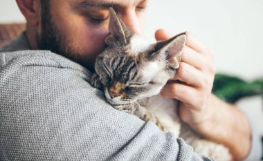 Veterineri: Dy mënyra më të mira për të mbajtur macet – ato i adhurojnë