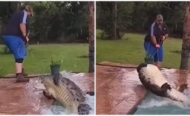 Zgjohen në mëngjes duke mos u besuar syve çfarë po shohin, krokodili gjigant në pishinën e tyre – çifti nga Afrika e Jugut i telefonojnë ekspertëve për ta larguar