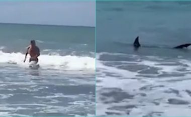Notari bën një “vrapim të çmendur” në një plazh në Zelandë të re, ndërsa dy peshkaqenë “afrohen te thembrat e tij”