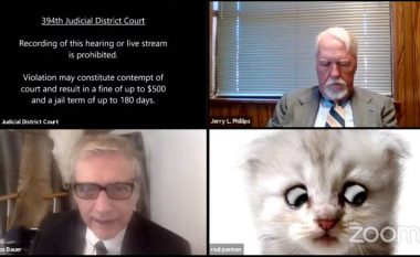 Gjykatësit gjatë gjatë seancës gjyqësore përmes Zoom, i hapet filtri i maces në fytyrën e tij