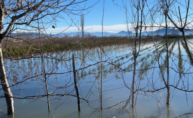 Në Shkodër përmbyten 3,455 hektarë tokë