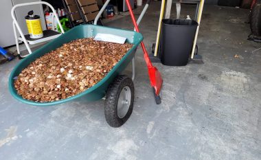 Ndodh edhe kjo, burri nga Georgia merr pagën e fundit prej 915 dollarë në monedha – 90 mijë copë i gjeti në një karrocë