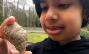 Britaniku 6-vjeç gjen fosile në oborrin e shtëpisë, gërmoi duke shpresuar se do të gjej krimba – zbuloi diçka rreth 500 milionë të vjetër