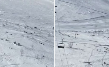 Një grup skiatorësh filmojnë një tufë ujqërish në bjeshkët e Bosnjës – bie në sy mënyra se ndiqnin “udhëheqësin e tyre”